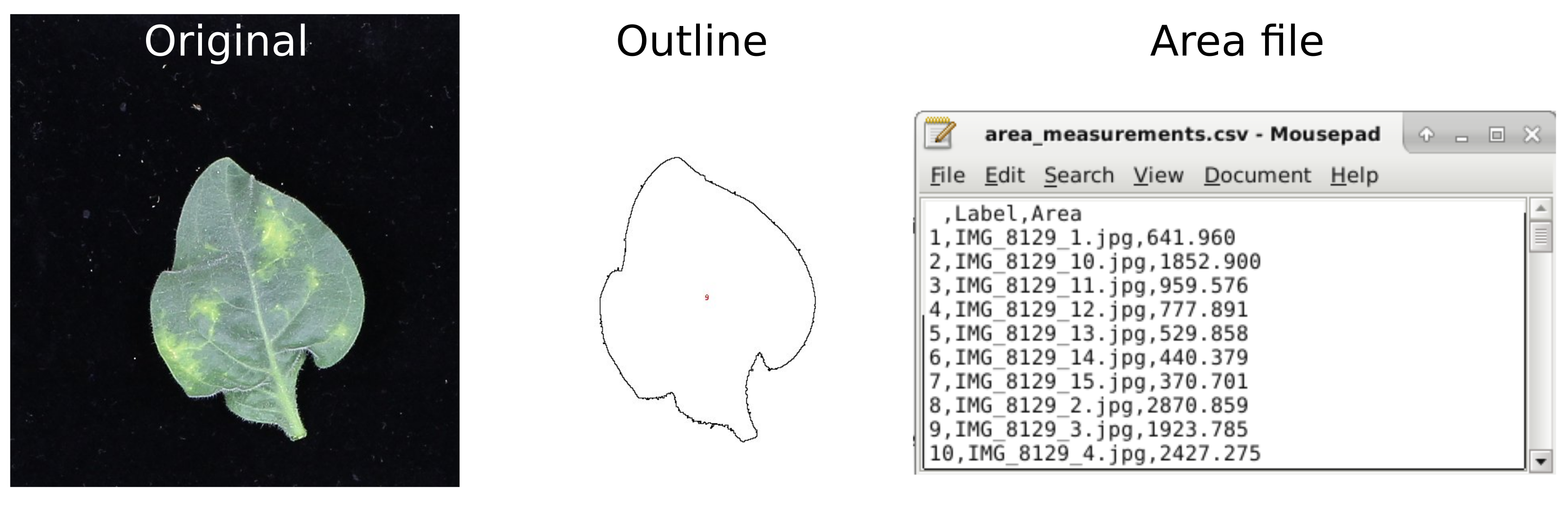 31 Example Of The Fiji Overlapping Grid Macro A And Matlab Blockproc Download Scientific 31 Example Of The Fiji Overlapping Grid Macro A And Matlab Blockproc Download Scientific