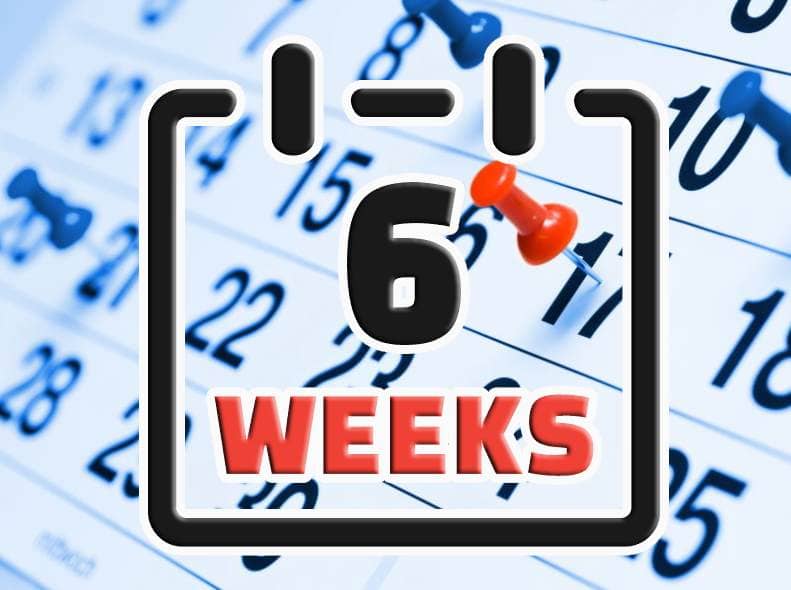6-Week Transformation: Your Ultimate Guide