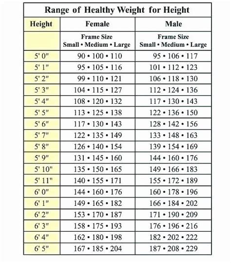 The Ultimate Guide to 64-Inch Height