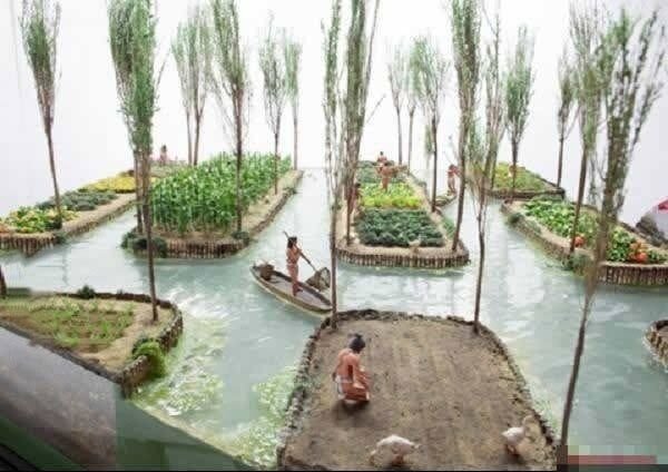 The Ancient Chinampas: 5 Fascinating Facts