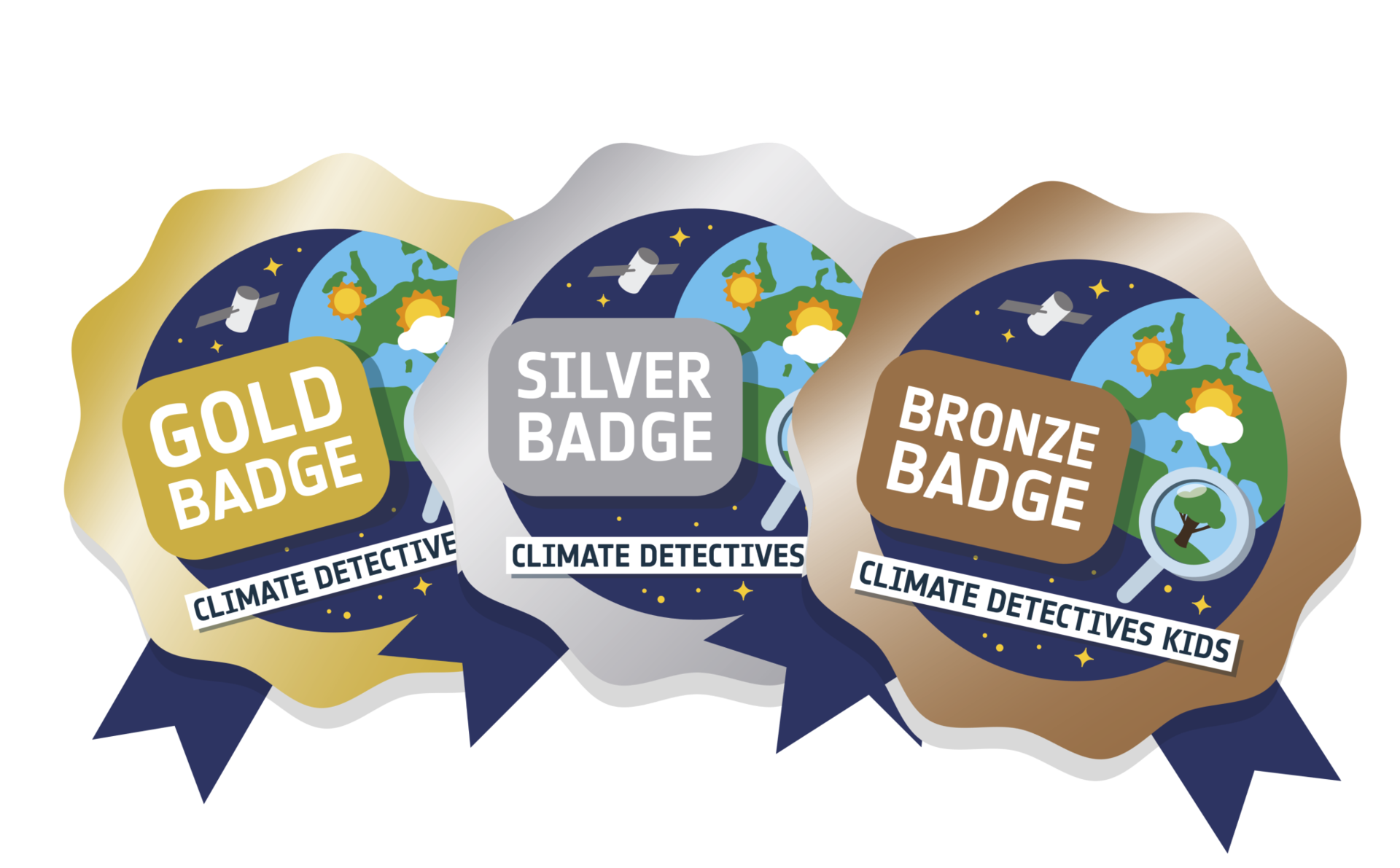 Climate Detectives Use Kauri Tree Clues To Uncover Secrets From Antarctica Scienceline Climate Detectives Use Kauri Tree Clues To Uncover Secrets From Antarctica Scienceline