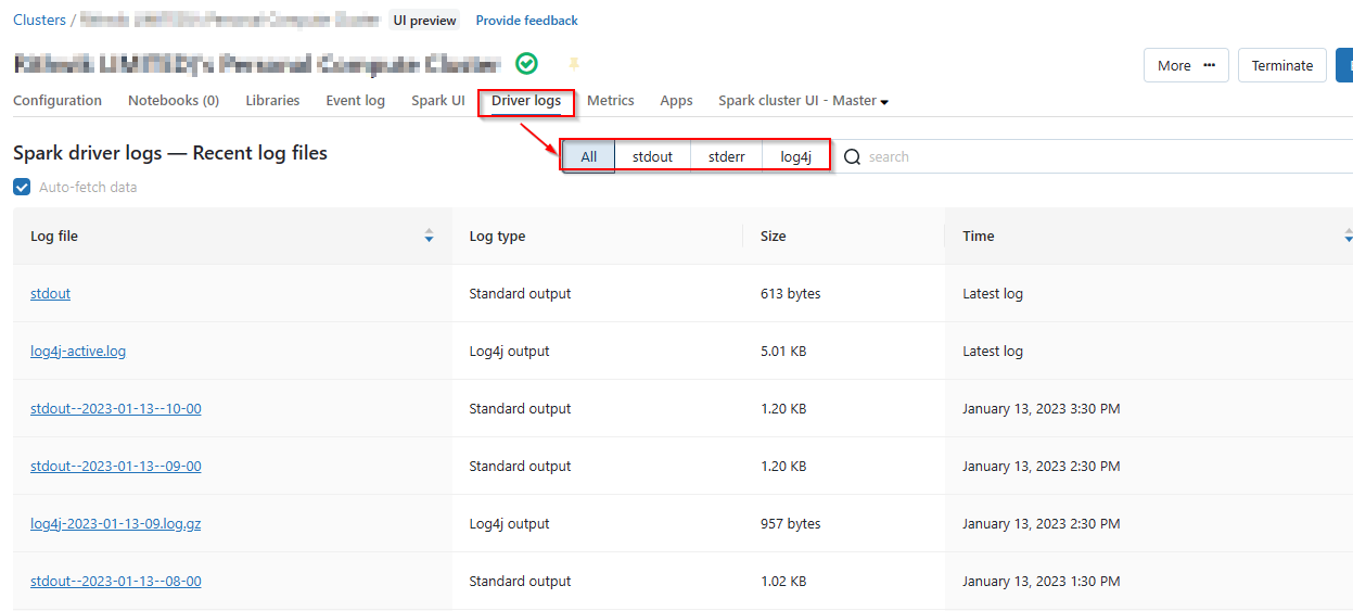 Top 5 Databricks File Type Checks
