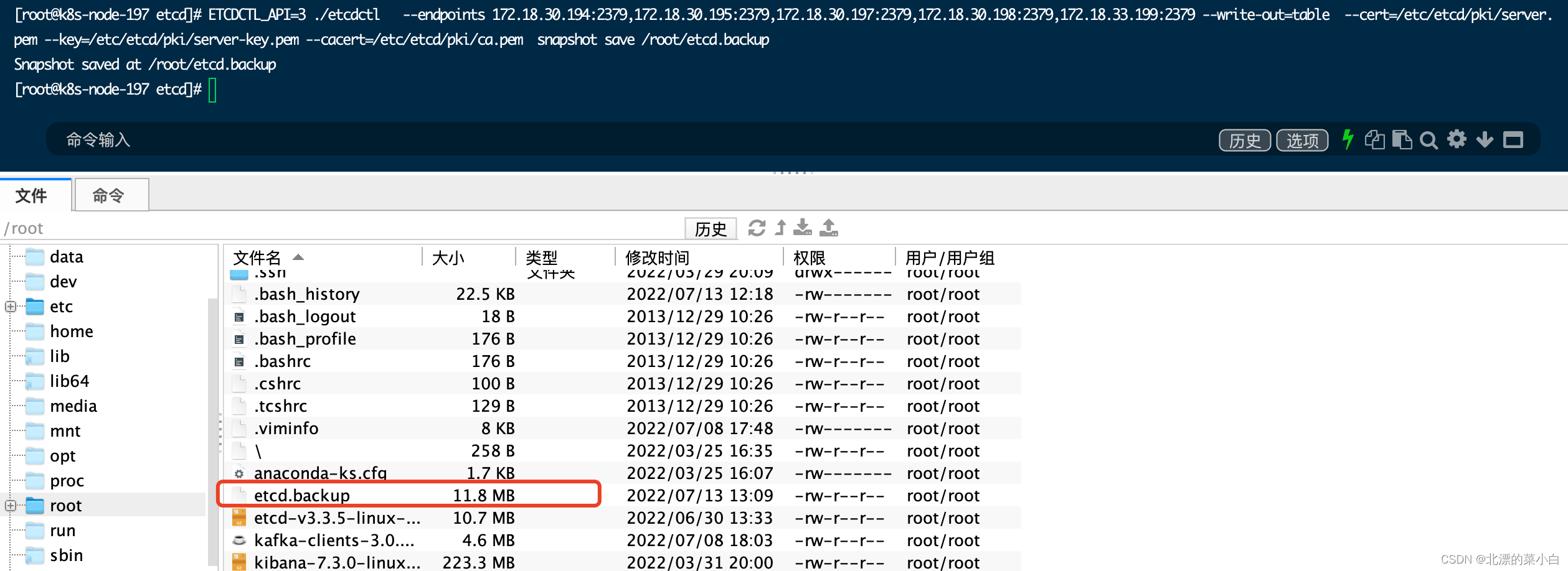 Etcdctl Etcdctl Endpoints 192 168 10 189 2379 Csdn Etcdctl Etcdctl Endpoints 192 168 10 189 2379 Csdn