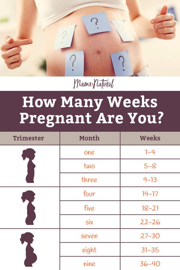 Months to Weeks: The Easy Guide