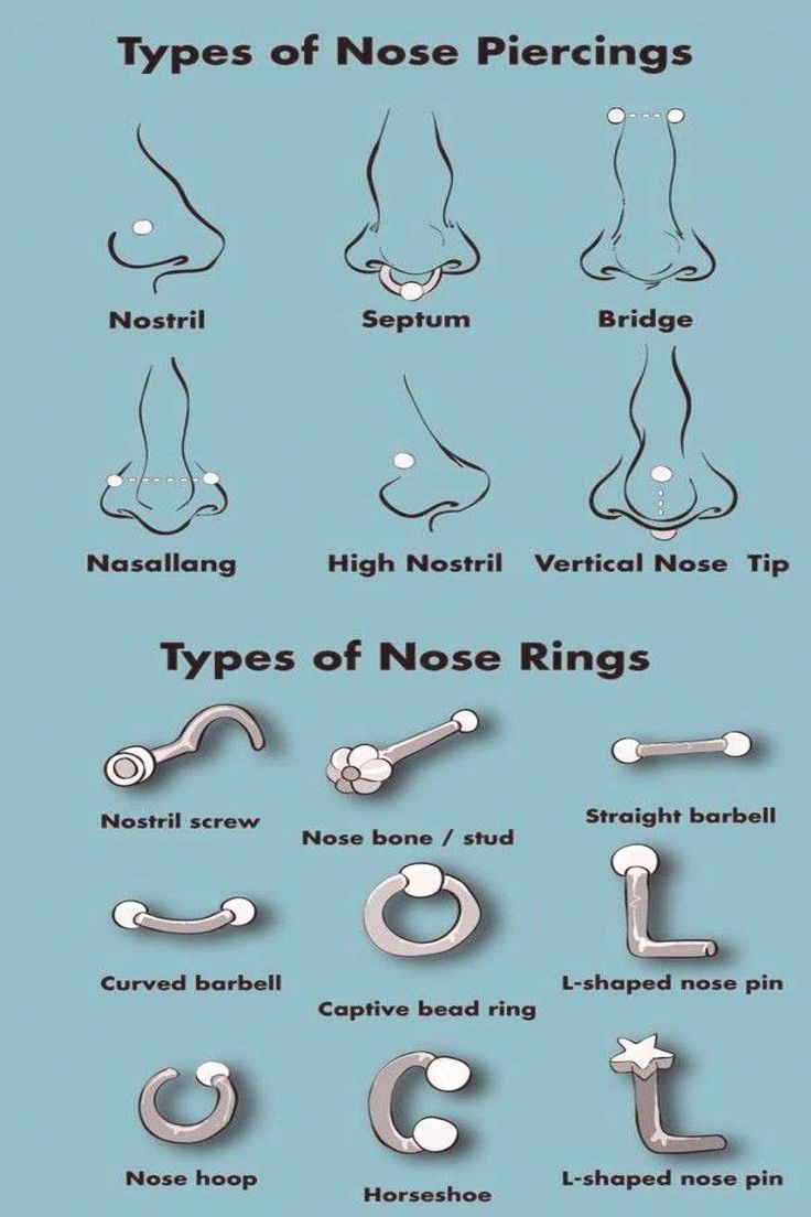 How To Know What Size Hoop Nose Ring To Get At Daniel Monette Blog How To Know What Size Hoop Nose Ring To Get At Daniel Monette Blog