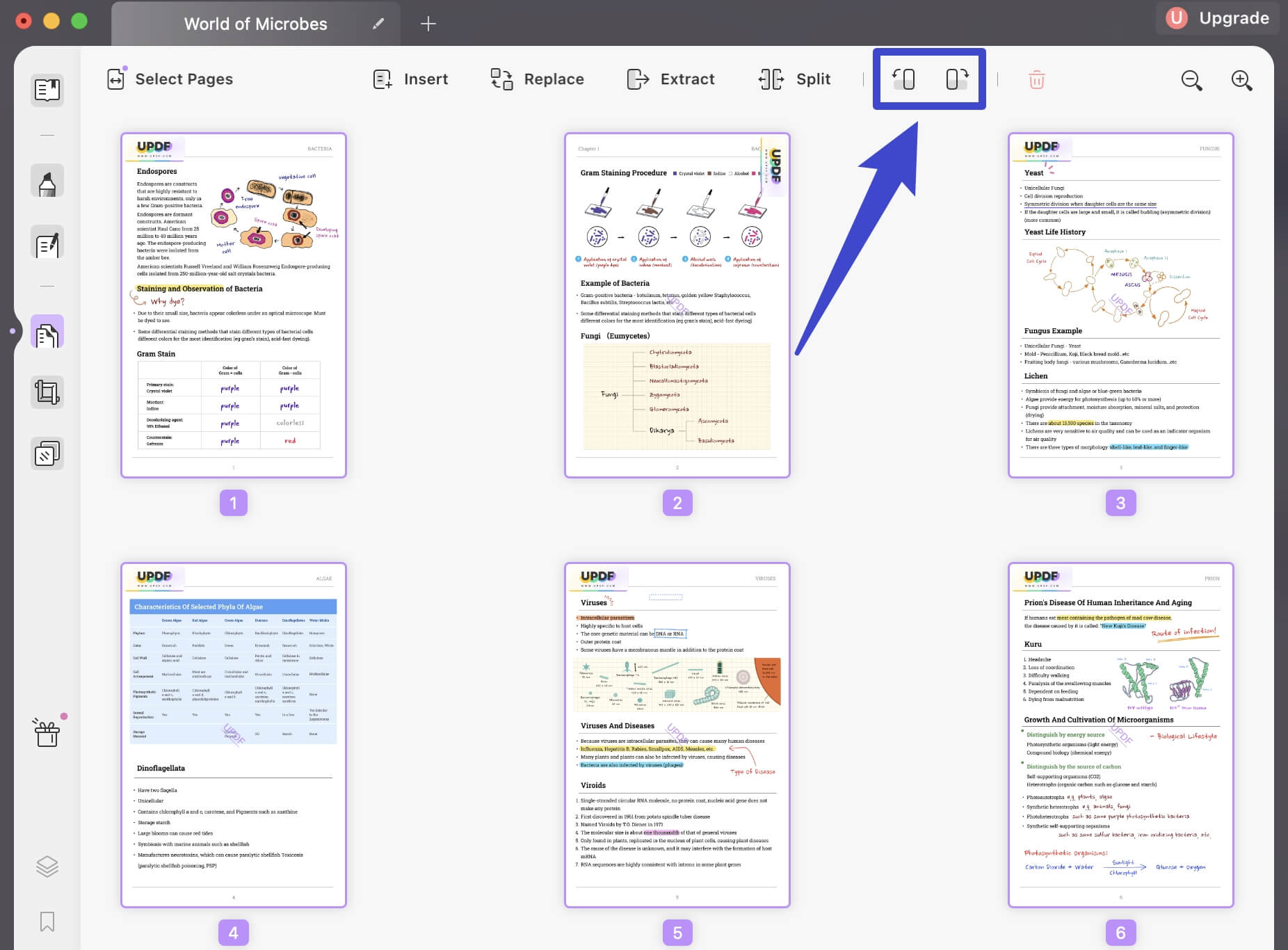 Fixing PDF Rotation: A Quick Guide