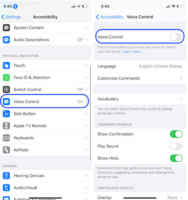 How To Turn Off Voice Control On Iphone In 2 Ways How To Turn Off Voice Control On Iphone In 2 Ways