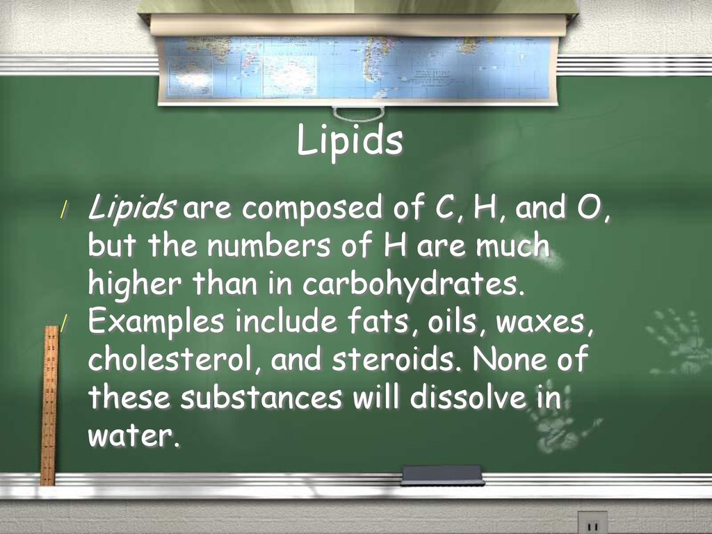 What Lipids Do Not Dissolve in Water