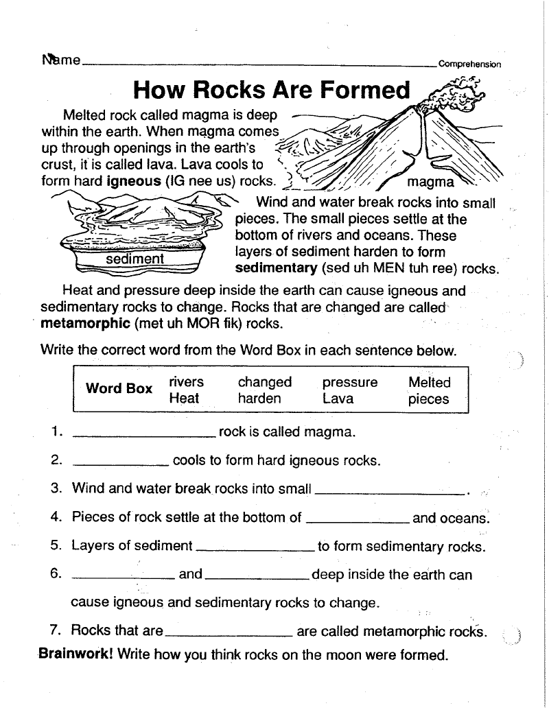 Read The Science Grade 6 Read The Science Grade 6