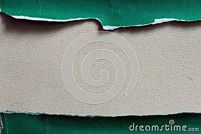A Blank Canvas: Your Guide