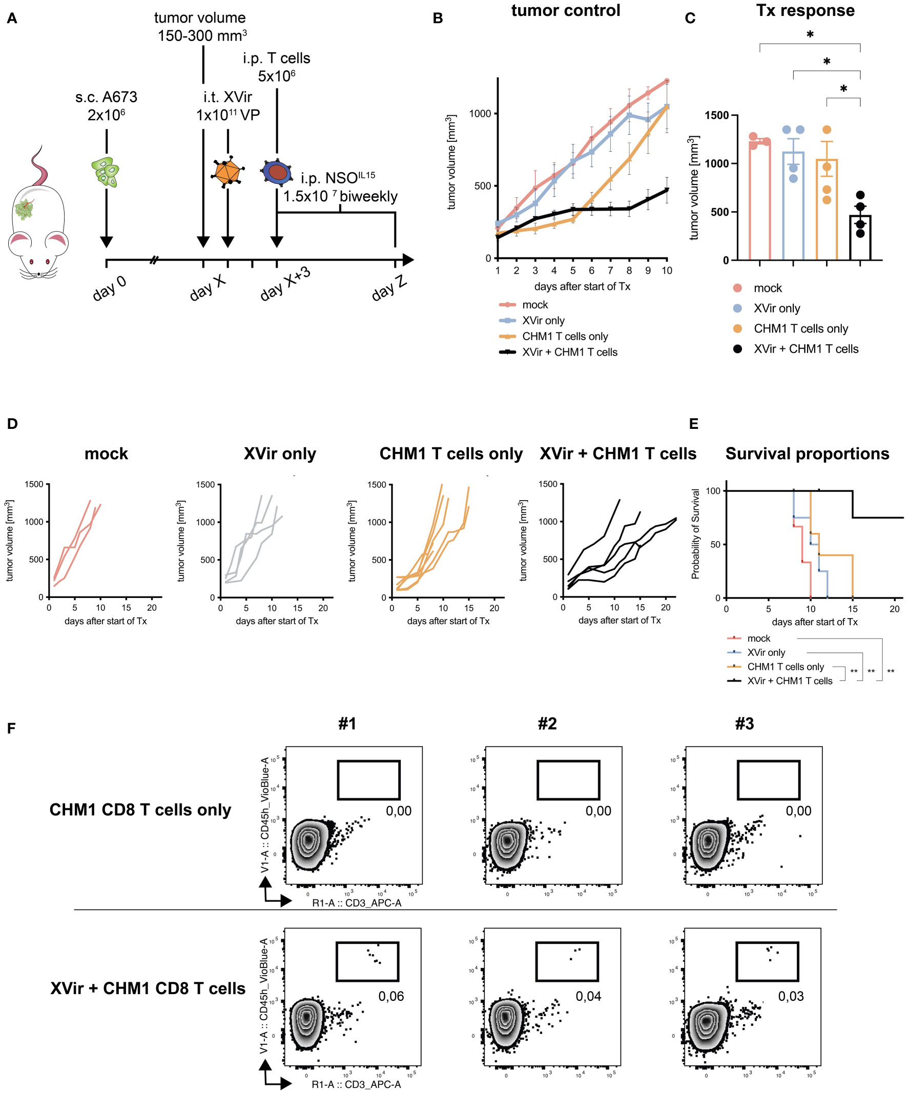 Tcr Transgenic T Cells And Yb 1 Based Oncolytic Virotherapy Improve Survival In A Preclinical Ewing Sarcoma Xenograft Mouse Model Frontiers