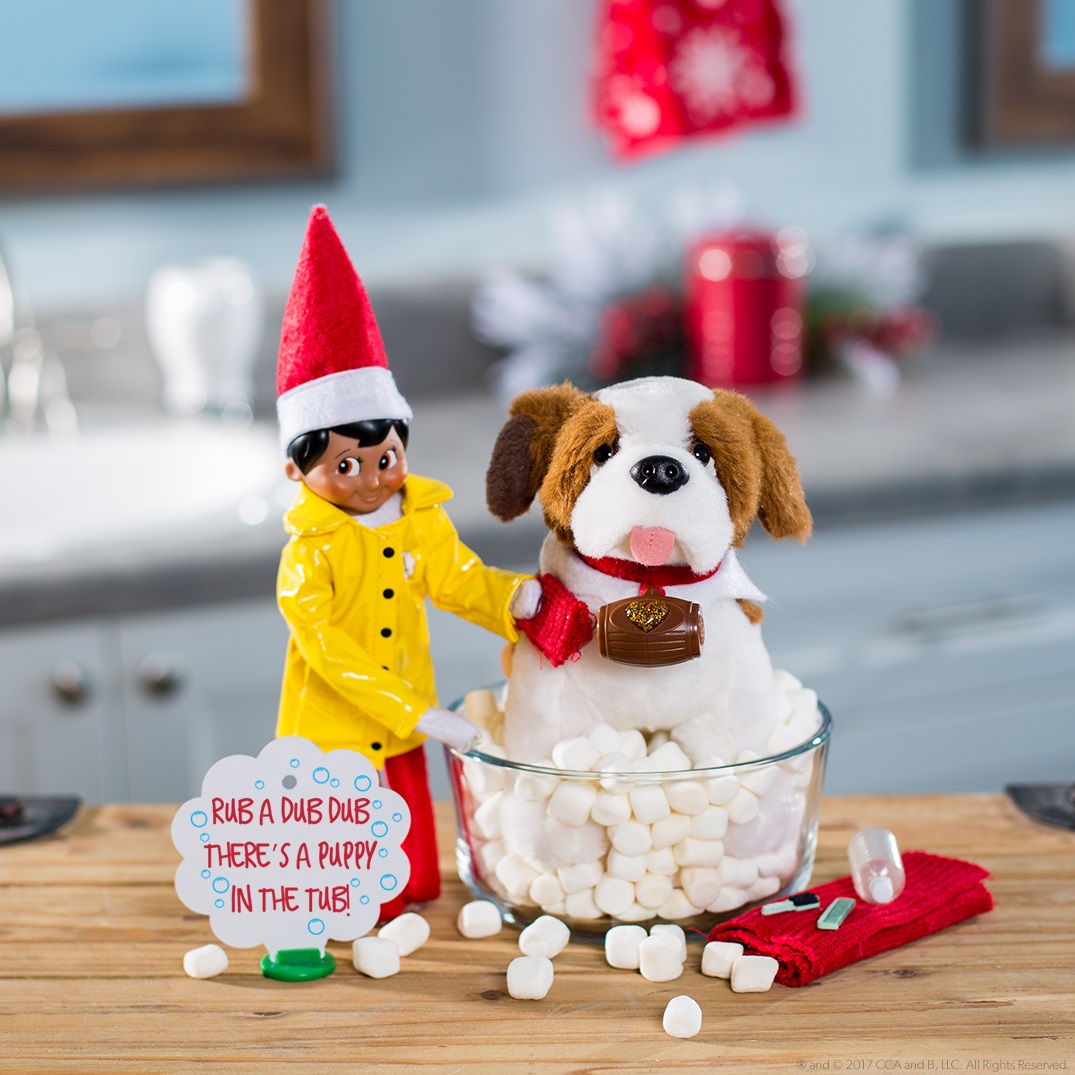 What Are Elf Pets The Elf On The Shelf What Are Elf Pets The Elf On The Shelf